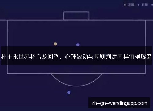 朴主永世界杯乌龙回望，心理波动与规则判定同样值得琢磨